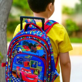 شنطة مدرسية ترولي